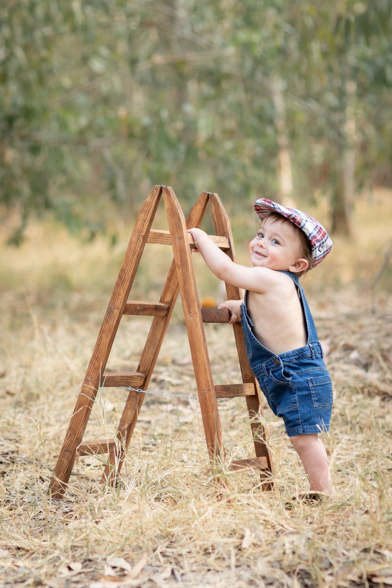 תמונה ראשית - אודליה בדש צילום